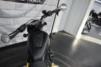 Thumbnail Photo 4 for New 2024 Harley-Davidson Sportster
