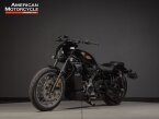 Thumbnail Photo 6 for 2024 Harley-Davidson Sportster Nightster Special