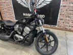 Thumbnail Photo 1 for 2024 Harley-Davidson Sportster Nightster