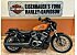 2024 Harley-Davidson Sportster Nightster Special