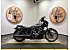 2024 Harley-Davidson Sportster