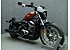 2024 Harley-Davidson Sportster Nightster Special