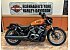 2024 Harley-Davidson Sportster Nightster Special