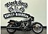 2024 Harley-Davidson Sportster Nightster Special