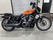 2024 Harley-Davidson Sportster Nightster Special