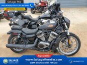 New 2024 Harley-Davidson Sportster Nightster Special