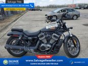 New 2024 Harley-Davidson Sportster Nightster Special