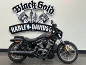 2024 Harley-Davidson Sportster Nightster Special
