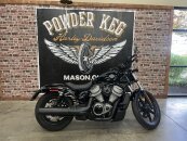 2024 Harley-Davidson Sportster Nightster