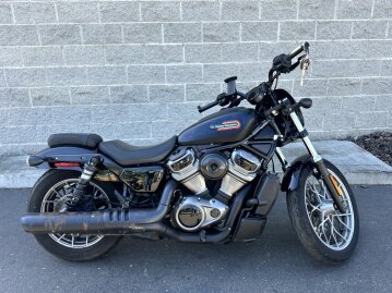 2024 Harley-Davidson Sportster Nightster Special