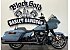 2024 Harley-Davidson Touring Road Glide
