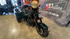 Thumbnail Photo 6 for 2024 Harley-Davidson Trike Freewheeler