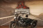 Thumbnail Photo 5 for 2024 Harley-Davidson Trike Freewheeler