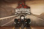 Thumbnail Photo 6 for 2024 Harley-Davidson Trike Freewheeler