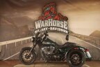 Thumbnail Photo 4 for 2024 Harley-Davidson Trike Freewheeler