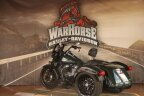 Thumbnail Photo 3 for 2024 Harley-Davidson Trike Freewheeler