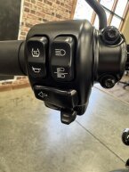 Thumbnail Photo 3 for 2024 Harley-Davidson Trike Freewheeler