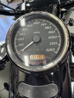 Thumbnail Photo 2 for 2024 Harley-Davidson Trike Freewheeler