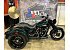 2024 Harley-Davidson Trike Freewheeler