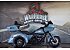 2024 Harley-Davidson Trike Road Glide 3