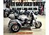 2024 Harley-Davidson Trike