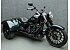 2024 Harley-Davidson Trike Freewheeler