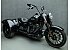 2024 Harley-Davidson Trike Freewheeler
