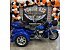 2024 Harley-Davidson Trike Tri Glide Ultra