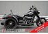 2024 Harley-Davidson Trike Freewheeler