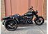 2024 Harley-Davidson Trike Freewheeler