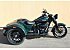 New 2024 Harley-Davidson Trike Freewheeler