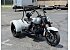 2024 Harley-Davidson Trike Freewheeler