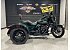 2024 Harley-Davidson Trike Freewheeler