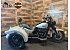 2024 Harley-Davidson Trike Freewheeler