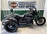 2024 Harley-Davidson Trike Freewheeler