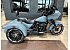 2024 Harley-Davidson Trike