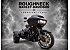 2024 Harley-Davidson Trike