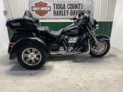 2024 Harley-Davidson Trike Tri Glide Ultra