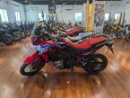 Thumbnail Photo 2 for New 2024 Honda Africa Twin