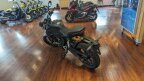 Thumbnail Photo 5 for New 2024 Honda CB300R ABS