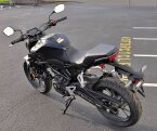Thumbnail Photo 3 for New 2024 Honda CB300R ABS