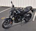 Thumbnail Photo 1 for New 2024 Honda CB300R ABS