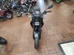 Thumbnail Photo 2 for New 2024 Honda CB300R ABS