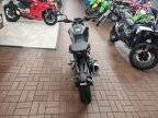 Thumbnail Photo 6 for New 2024 Honda CB300R ABS