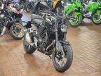 Thumbnail Photo 1 for New 2024 Honda CB300R ABS