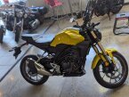 Thumbnail Photo 6 for 2024 Honda CB300R ABS