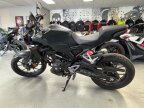 Thumbnail Photo 2 for 2024 Honda CB300R ABS