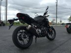 Thumbnail Photo 1 for 2024 Honda CB300R ABS