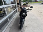 Thumbnail Photo 2 for 2024 Honda CB300R ABS