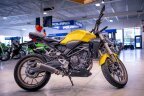 Thumbnail Photo 5 for New 2024 Honda CB300R ABS
